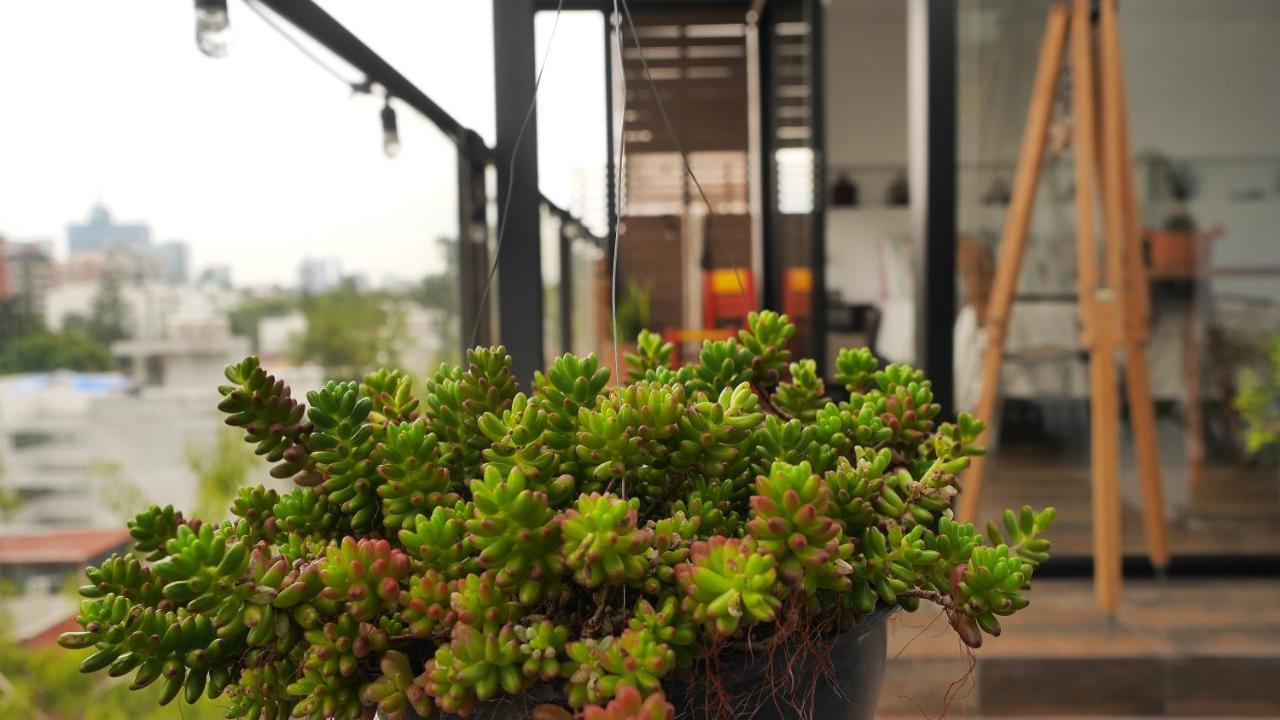 Loft Remedios - Penthouse Cdmx - Areas Comunes Compartidas Cidade do México Exterior foto